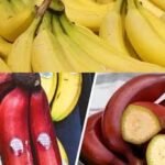 فوائد الموز للجسم والحفاظ على صحة القلب