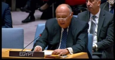 كلمة وزير الخارجية أمام جلسة مجلس الأمن حول الوضع في قطاع غزة
