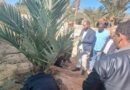 تدريب المزارعين على استخدام جهاز حقن النخيل للقضاء على السوسة الحمراء بجنوب سيناء