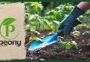 شركة أجرو بيوني: الابتكار في الحلول الزراعية لتحقيق التنمية المستدامة