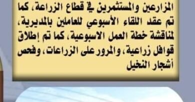 الزراعة في كل مصر : خلال الفترة من 27 أغسطس وحتى 2 سبتمبر الجاري