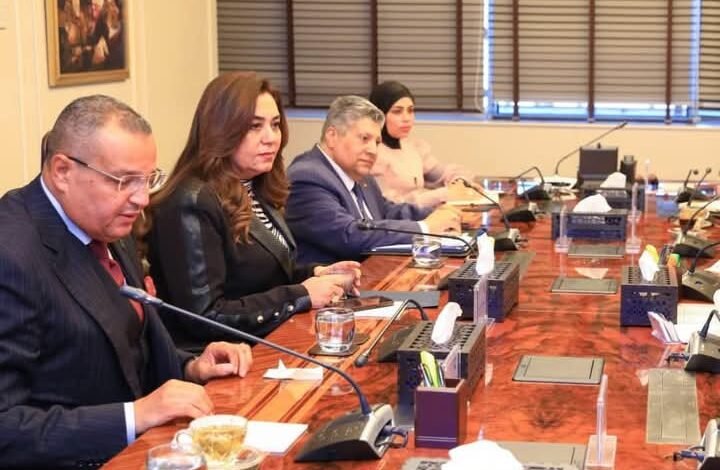 تعاون مثمر بين وزارتي التنمية المحلية والبيئة لدعم الاستثمار البيئي بجنوب سيناء