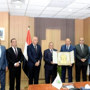 جامعة المنصورة