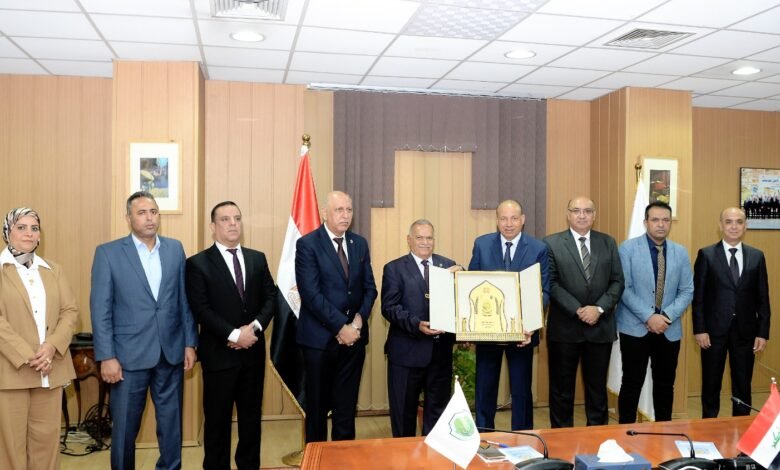 جامعة المنصورة