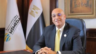 المشروعات المتوسطة والصغيرة ومتناهية الصغر