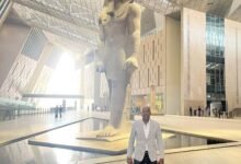 إدريس: إفتتاح المتحف المصري الكبير نقطة تحول كبرى في مسار السياحة الثقافية