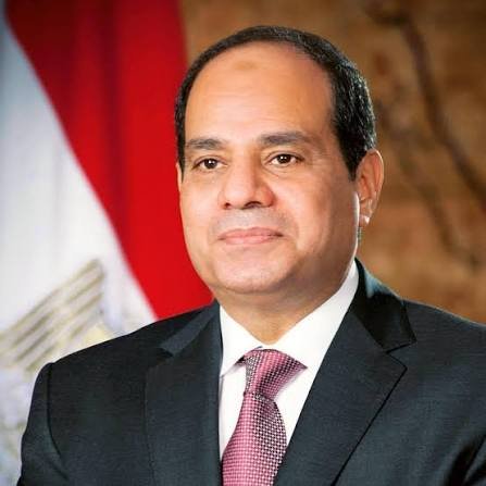 مفتشو الغذاء يستغيثون بالرئيس السيسي: “هيمنة الغرف التجارية تهدد الرقابة وحماية صحة المصريين”