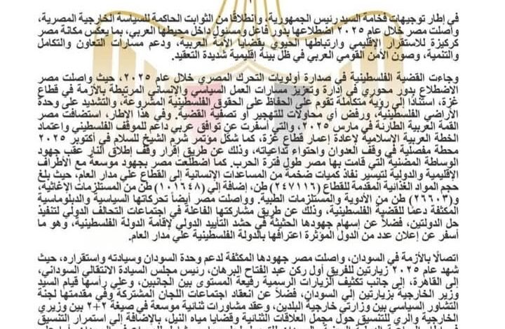 الدائرة العربية في قلب السياسة الخارجية المصرية خلال عام 2025