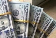 سعر الدولار الأمريكي اليوم 25يناير 2026, مقابل الجنية المصري قبل جلسة التداول