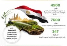 المركز الإعلامي