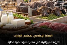 الثروة الحيوانية في مصر تشهد نموًا مطردًا وارتفاعًا في الإنتاج المحلي من اللحوم والألبان