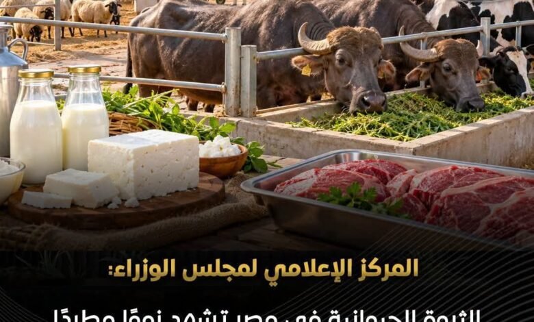 الثروة الحيوانية في مصر تشهد نموًا مطردًا وارتفاعًا في الإنتاج المحلي من اللحوم والألبان