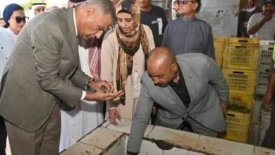 محافظ جنوب سيناء يتفقد معصرة زيت الزيتون التابعة لمديرية الزراعة بمنطقة أبوصويرة في رأس سدر