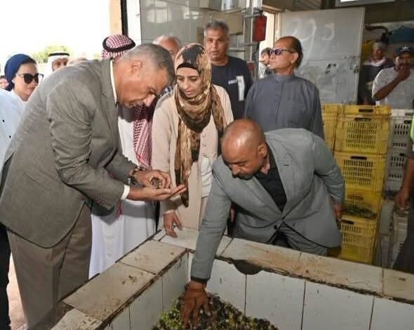 محافظ جنوب سيناء يتفقد معصرة زيت الزيتون التابعة لمديرية الزراعة بمنطقة أبوصويرة في رأس سدر