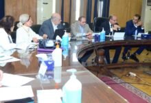 مجلس إدارة البرنامج الفرنسي بطب قصر العيني يستعرض إنجازات العام الدراسي 2025–2026